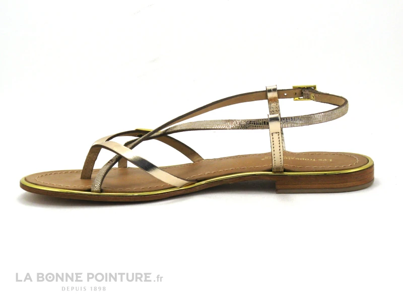 Tropeziennes MONACO Or Serpent - Plagette Tong – Image 3